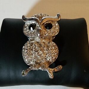 Owl Rhinestone Silver Tone Faux 2"
